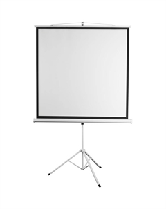 Экран для проекторов Digis DSKD-1103