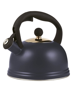 Чайник для плиты Otto 1401.174V Typhoon