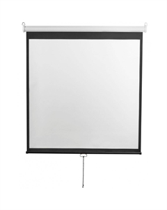 Экран для проекторов Digis DSOD-4306