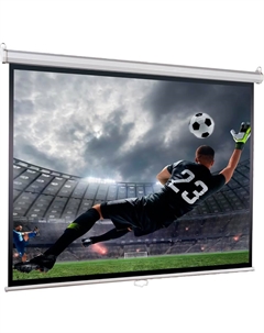 Экран для проекторов Lumien Eco Picture LEP-100119