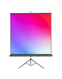 Экран для проекторов Lumien Master View LMV-100101