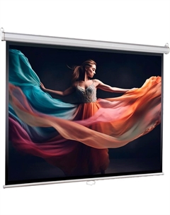 Экран для проекторов Lumien Eco Control LEC-100106