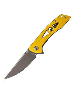 Складной нож Bestech Eye of Ra Yellow, сталь D2, G10 Bestech knives