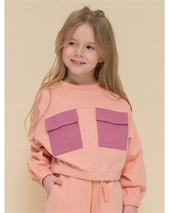 Толстовка Pelican