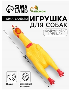 Игрушка для собак Пижон