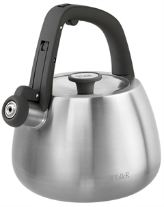 Чайник для плиты TR-11372, 2.2 л Taller