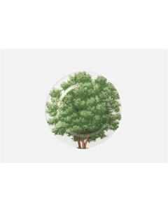 Тарелка FREEDOM, 16 см 16 см Taitu