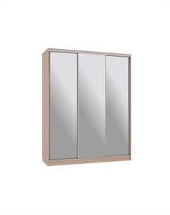 Шкаф-купе Бассо 4 Мебельсон