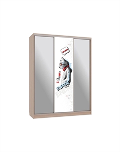 Шкаф-купе Бассо 9 Энерджи Мебельсон