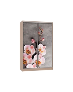 Шкаф-купе Колорадо 7 Цветы 2 Мебельсон
