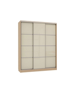 Шкаф-купе Бассо 2 Мебельсон