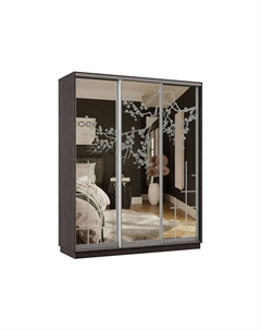 Шкаф-купе Маршал Хочу домой