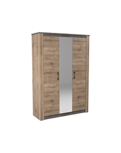 Распашной шкаф Денвер Сбк