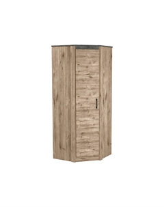 Распашной шкаф Денвер Сбк