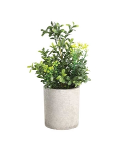 Искусственное растение в горшке Living CHITOSE Eglo