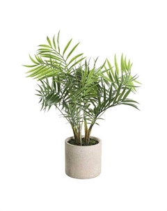 Искусственное растение в горшке Living TOBETSU Eglo