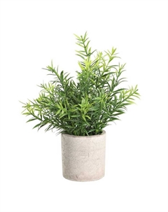 Искусственное растение в горшке Living CHITOSE Eglo