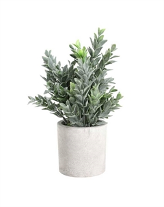 Искусственное растение в горшке Living CHITOSE Eglo