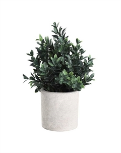 Искусственное растение в горшке Living CHITOSE Eglo