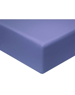Простыня Моноспейс синяя Ecotex