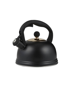 Чайник Otto Typhoon