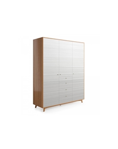 Шкаф FR226 The idea
