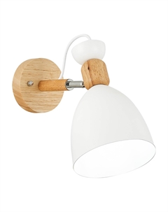 Спот BALCAMO Evoluce