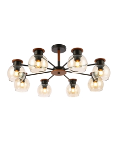 Потолочная люстра RASCO Evoluce