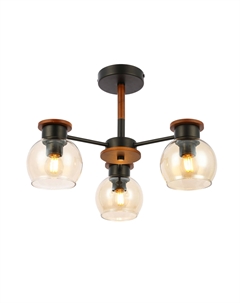 Потолочная люстра RASCO Evoluce