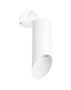 Спот RULLO Lightstar