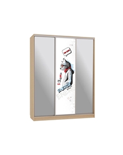 Шкаф-купе Бассо 9 Энерджи Мебельсон