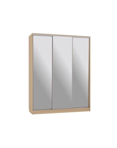 Шкаф-купе Бассо 4 Мебельсон