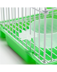 Клетка для грызунов укомплектованная rt-2t, 22 х 16 х 20 см, зеленая Пижон