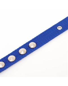 Ошейник клепаный, 40.5×2 см, ош 26-34 см, полиэстер, синий Пижон