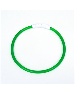 Ошейник - кольцо с подсветкой, зарядка от usb, до 70 см, 3 режима свечения, зеленый Пижон