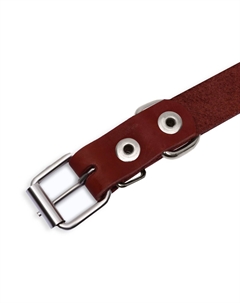 Ошейник кожаный однослойный, 54 х 2,5 см, ош 35-45 см, коричневый Пижон