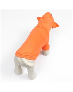 Кофта с капюшоном Пижон