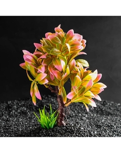 Растение искусственное аквариумное, 15,5 х 12 х 20,5 см Пижон аква