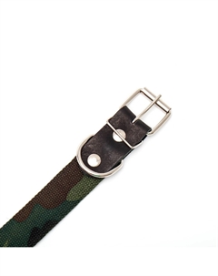 Ошейник брезентовый однослойный Пижон