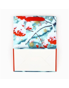 Пакет подарочный новогодний ламинированный Дарите счастье