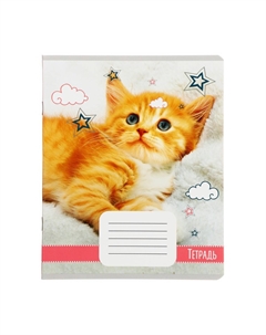 Набор тетрадей 18 листов в клетку Calligrata