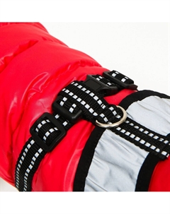 Куртка для собак со светоотражающей шлейкой, размер 18 (дс 40, ог 50, ош 38), красная Пижон