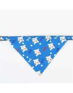 Ошейник с косынкой Пижон