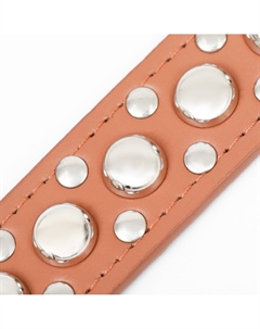 Ошейник Пижон