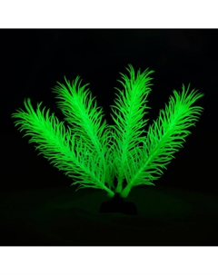 Растение искусственное аквариумное, светящееся, 10 см, зеленое Пижон аква