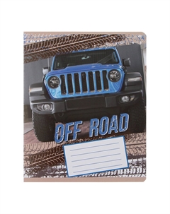 Набор тетрадей 12 листов в линейку Calligrata