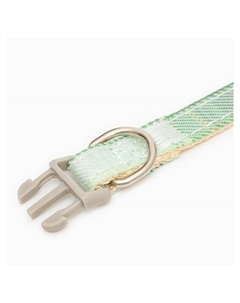 Ошейник Пижон