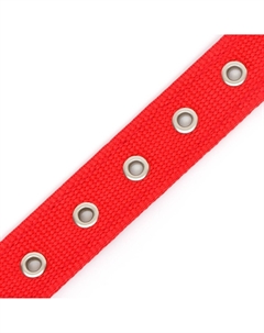 Ошейник Пижон