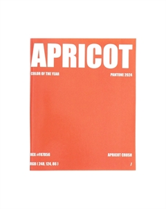 Набор тетрадей 96 листов в клетку apricot crush, обложка мелованный картон, глянцевая ламинация, блок офсет, 4 шт. Calligrata