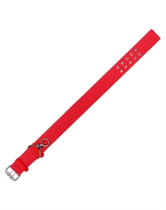 Ошейник четырехслойный с вертлюгом, 65 х 4 см, ош 54-60 см, полиэстер, красный Пижон